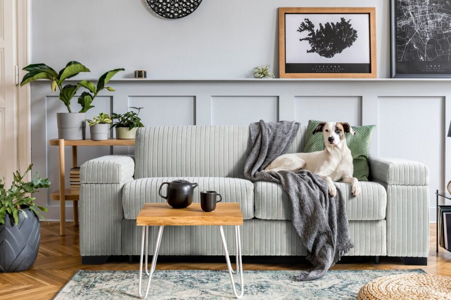 How Natural Lighting Transforms Interior Living Spaces